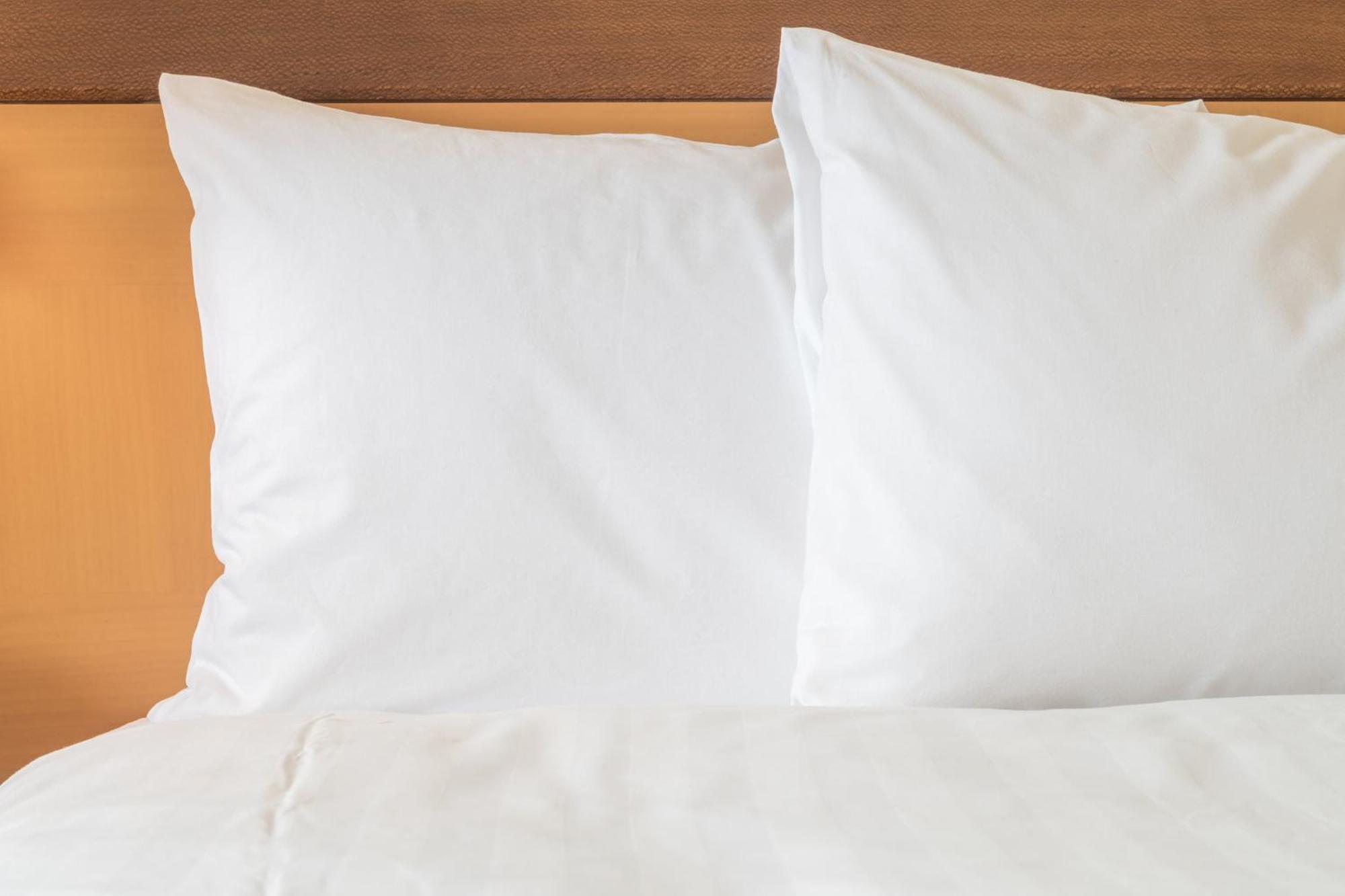 Holiday Inn Metairie New Orleans By Ihg Εξωτερικό φωτογραφία
